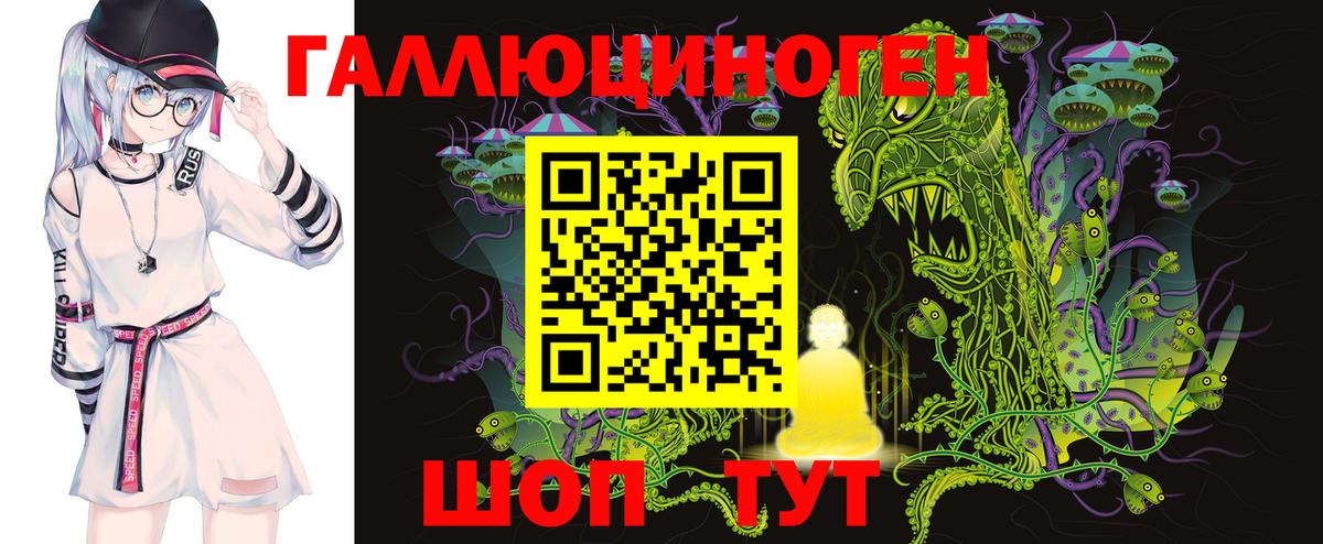 Псилоцибиновые грибы Psilocybe  как найти   Сухой Лог  Вход с VPN 